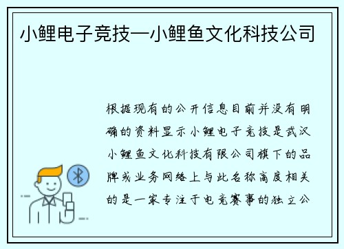 小鲤电子竞技—小鲤鱼文化科技公司